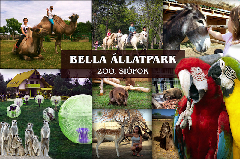 Siófoki Progamok - Bella Állatpark siofokzoo.hu